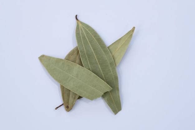 Bay Leaf is effective in controlling blood sugar. Experts believe that consuming bay leaves along with medicine can reduce blood sugar level. Bay leaves should be dried and mixed into powder and consumed.
