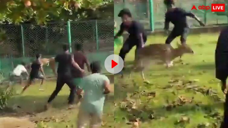 Video: बांग्लादेश में प्रदर्शनकारियों ने चिड़ियाघर पर बोला धावा, बेजुबान जानवरों को भी नहीं छोड़ा! Protestors in Bangladesh have entered the zoo and are targeting animals there video goes viral Video: बांग्लादेश में प्रदर्शनकारियों ने चिड़ियाघर पर बोला धावा, बेजुबान जानवरों को भी नहीं छोड़ा!