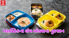 Plastic Tiffin: પ્લાસ્ટિક ટિફિનમાં નાના બાળકોને જમવાનું આપવું જોઈએ કે નહીં? ક્યાંક તમે પણ નથી કરતા ને આ ભૂલ