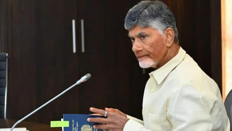 AI For Andhra Pradesh CM Naidu Discusses Setting Up YouTube Academy In Amaravati Neal Mohan Meeting AI For Andhra Pradesh: CM Naidu Discusses Setting Up YouTube Academy In Amaravati During Meeting With Top Google Execs