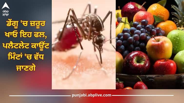 health 5 fruits you must eat to increase platelet count recovery from dengue health news Dengue: ਡੇਂਗੂ 'ਚ ਜ਼ਰੂਰ ਖਾਓ ਇਹ 4 ਫਲ, ਪਲੈਟਲੇਟ ਕਾਊਂਟ ਮਿੰਟਾਂ 'ਚ ਵੱਧ ਜਾਣਗੇ