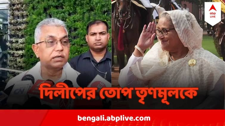 Bangladesh Unrest Dilip Ghosh Targets TMC Mamata Banerjee Amid Bangladesh Issue Dilip Ghosh On Bangladesh : 'তৃণমূল ভবিষ্যৎ দেখে রাখুক', বাংলাদেশের পরিস্থিতিতে মমতাকে আক্রমণ দিলীপের