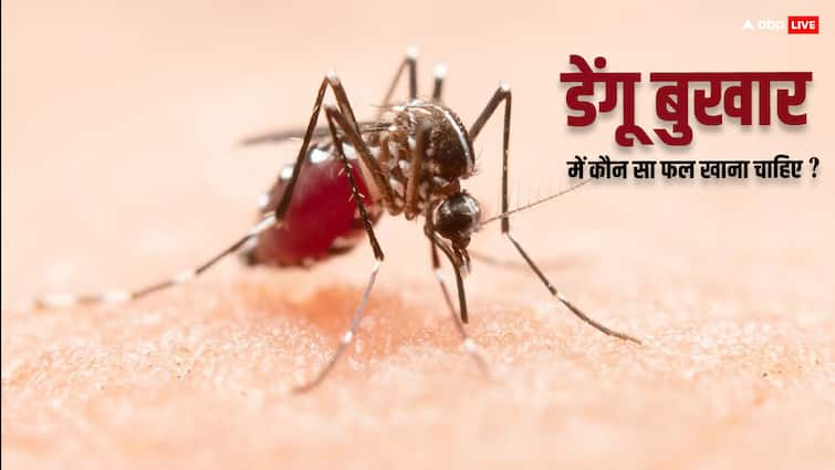 Eat these 5 fruits during dengue fever, platelet count will increase immediately.