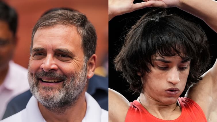 Rahul Gandhi Hails Wrestler Vinesh Phogat Entry Into Olympic Finals Congress Slams Modi BJP PM Modi 'All Who Questioned Her...' Rahul Gandhi Hails Vinesh Phogat For Storming Into Paris Olympics Wrestling Final