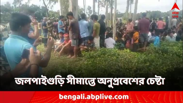 More than a thousand Bangladeshi people attempted to cross the border in jalpaiguri to enter India BSP foiled the chance amid Bangladesh unrest Jalpaiguri News: জলপাইগুড়ি সীমান্তে আটক ১২০০ বাংলাদেশি! অনুপ্রবেশ রুখল BSF