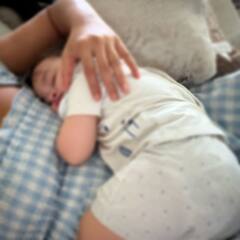 Ileana Son: ఇలియాన కొడుకు ఫస్ట్‌ బర్త్‌డే ఫోటోలు చూశారా? - అప్పుడే ఏడాది అయ్యిందా.. ఫ్యాన్స్‌ రియాక్షన్‌!