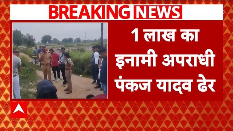 UP STF Scores Main Success: Mukhtar Ansari Gang Sharpshooter Pankaj Yadav Eradicated | ABP Information