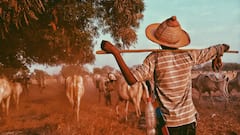 पशुपालन करने वाले किसानों को यहां मिल रही भारी सब्सिडी, इतने किसानों को मिलेगा फायदा