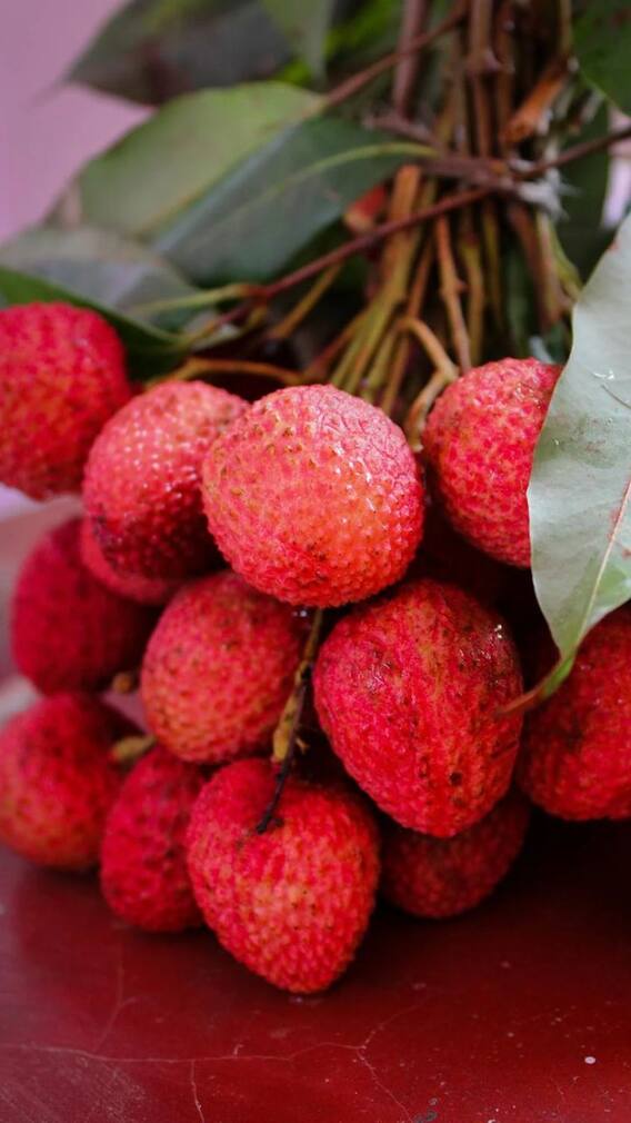 சர்க்கரை நோயாளிகள் லிச்சி பழம் சாப்பிடலாமா?