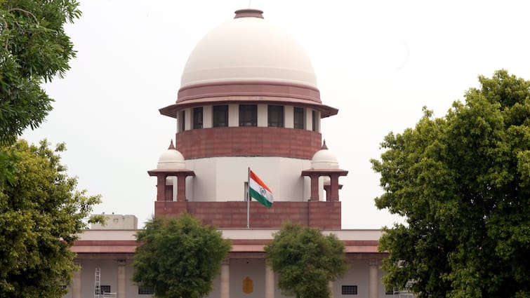 Supreme Court refuses to permit euthanasia for aged couple comatose son Know details Euthanasia: 'ये केस तो...', बेटे के लिए मां-बाप ने मांगी इच्छामृत्यु तो SC ने कह दी बड़ी बात! जानें, पूरा माजरा