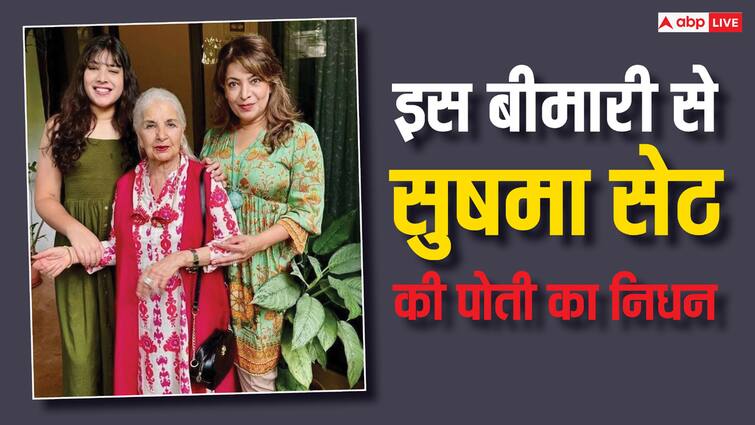 what is seizure outbreak due to which actress sushma seths granddaughter died know treatment Mihika Seth: कौन-सी है वो बीमारी, जिससे दुनिया छोड़ गई 'कल हो न हो' वाली दादी की पोती?