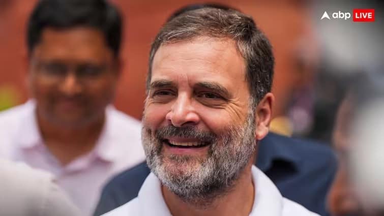 rahul gandhi invested stock vertoz advertising hits huge profit Rahul Gandhi Stocks: এক স্টকেই বিপুল লাভ রাহুল গাঁধীর, আয় বাড়ল বহুগুণ