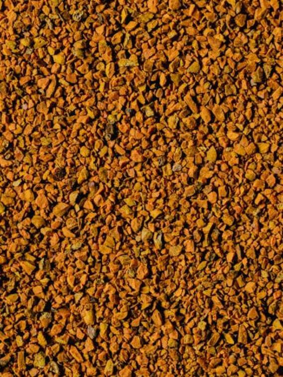 घर पर कैसे उगाएं हल्दी