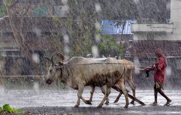 ১০ থেকে ১৩ অগাস্ট পর্যন্ত দক্ষিণবঙ্গের নানা জেলায় বৃষ্টির পূর্বাভাস রয়েছে। পূর্ব ও পশ্চিম মেদিনীপুর, ঝাড়গ্রাম, পুরুলিয়ায় বজ্রবিদ্যুৎ-সহ বৃষ্টিপাতের পূর্বাভাস রয়েছে।