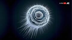 हमारी स्किन पर हमेशा रहते हैं ये बग्स, इनके फोटो देखकर कांप जाएगी रूह