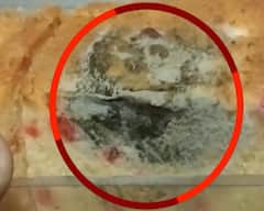 Vadodara News: ડી માર્ટમાંથી કેક લેતા પહેલા સાવધાન! કેકમાં ફૂગ નીકળી, કંપનીએ ગ્રાહકને આપ્યો ઉડાવ જવાબ