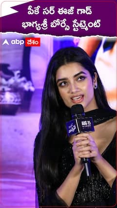 పీకే సర్ ఈజ్ గాడ్ భాగ్యశ్రీ బోర్సే స్టేట్మెంట్