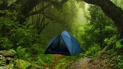 2 ਮਹੀਨਿਆਂ ਤੋਂ ਹਿਮਾਚਲ ਦੇ ਜੰਗਲਾਂ 'ਚ ਟੈਂਟ ਵਿਚ ਰਹਿ ਰਿਹਾ ਸੀ ਰਸ਼ੀਅਨ ਜੋੜਾ! ਪੁਲਸ ਨੂੰ ਇੰਝ ਲੱਗੀ ਭਿਣਕ