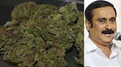 Anbumani: பள்ளிகளில் அதிகரித்து வரும் கஞ்சா புழக்கம்; வேடிக்கை பார்க்கும் அரசு- அன்புமணி கண்டனம்