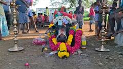 ஜல்லிக்கட்டில் கலக்கிய காளை இறப்பு - கண்ணீர் மல்க கிராம மக்கள் அஞ்சலி