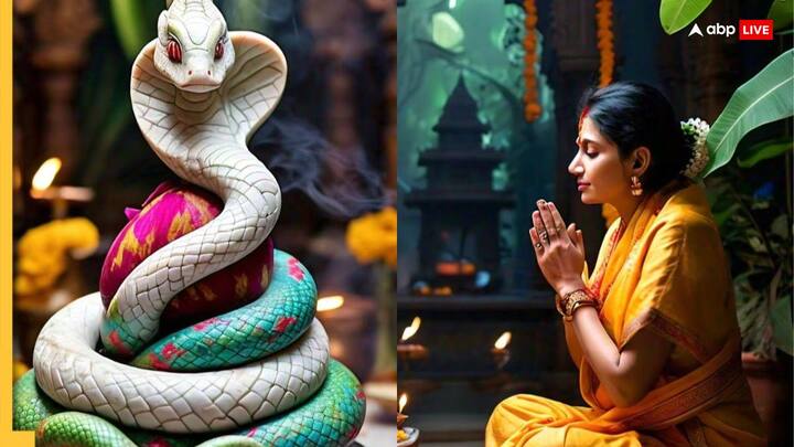 धर्म शास्त्रों में नाग देवता को मां लक्ष्मी का अनुचर माना गया है. कहते हैं कि नाग पंचमी के दिन घर के मुख्य द्वार पर गोबर से नाग देवता की आकृति बनाने से मां लक्ष्मी घर में वास करती हैं और सुख समृद्धि आती है.