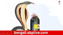 Nag Panchami 2024: নাগ পঞ্চমীতে ৩ দুর্লভ যোগ, রয়েছে কালসর্প দোষ থেকে মুক্তির উপায়ও