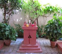 Vastu Tips For Tulsi : तुळशीचं रोप लावण्यासाठी 'ही' आहे योग्य दिशा; चौफेर होईल प्रगती, आरोग्यही राहील उत्तम