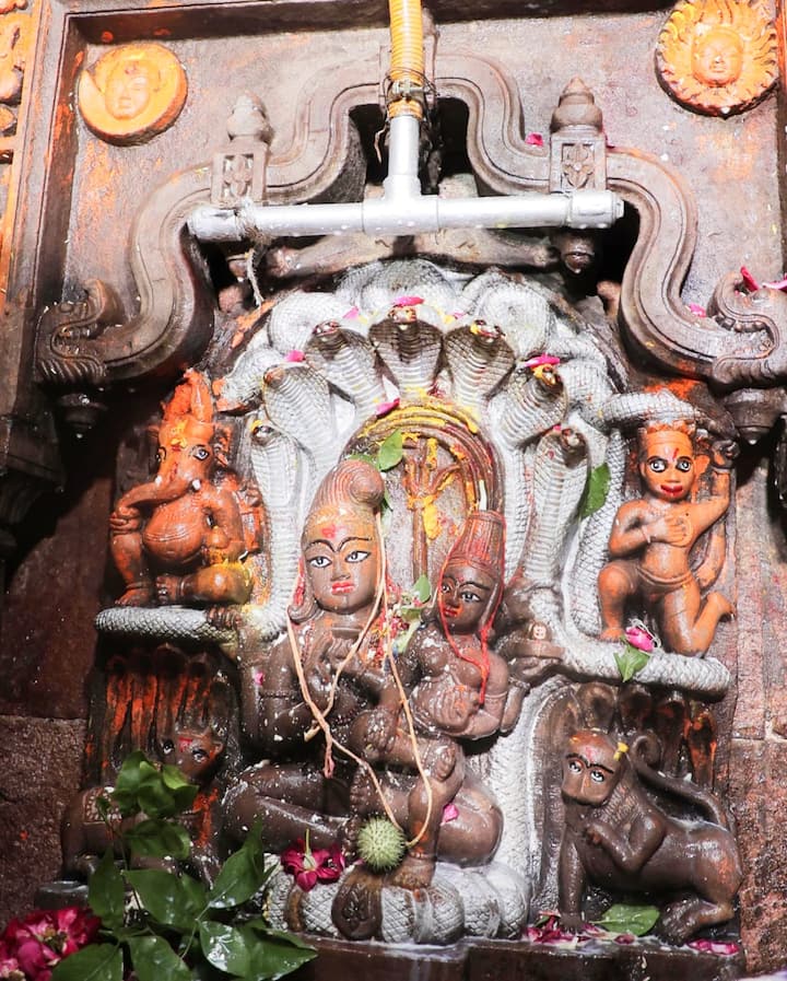एक अनुमान के मुताबिक नागचंद्रेश्वर महादेव मंदिर में दर्शन के लिए लगभग एक किलोमीटर लंबी कतार देखने को मिल रही है. महाकालेश्वर मंदिर के द्वितीय तल पर विराजित भगवान नागचंद्रेश्वर महादेव का मंदिर महा निर्माणी अखाड़े के अधिकार क्षेत्र में आता है.