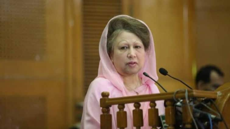 Khaleda Zia BNP leader reaction on Sheikh Hasina stay India says attacks on Hindus natural for adverse reaction Bangladesh 'शेख हसीना को दी शरण, इसलिए...', बांग्लादेश में हिंदुओं पर हमलों को लेकर बोले खालिदा जिया की पार्टी के नेता