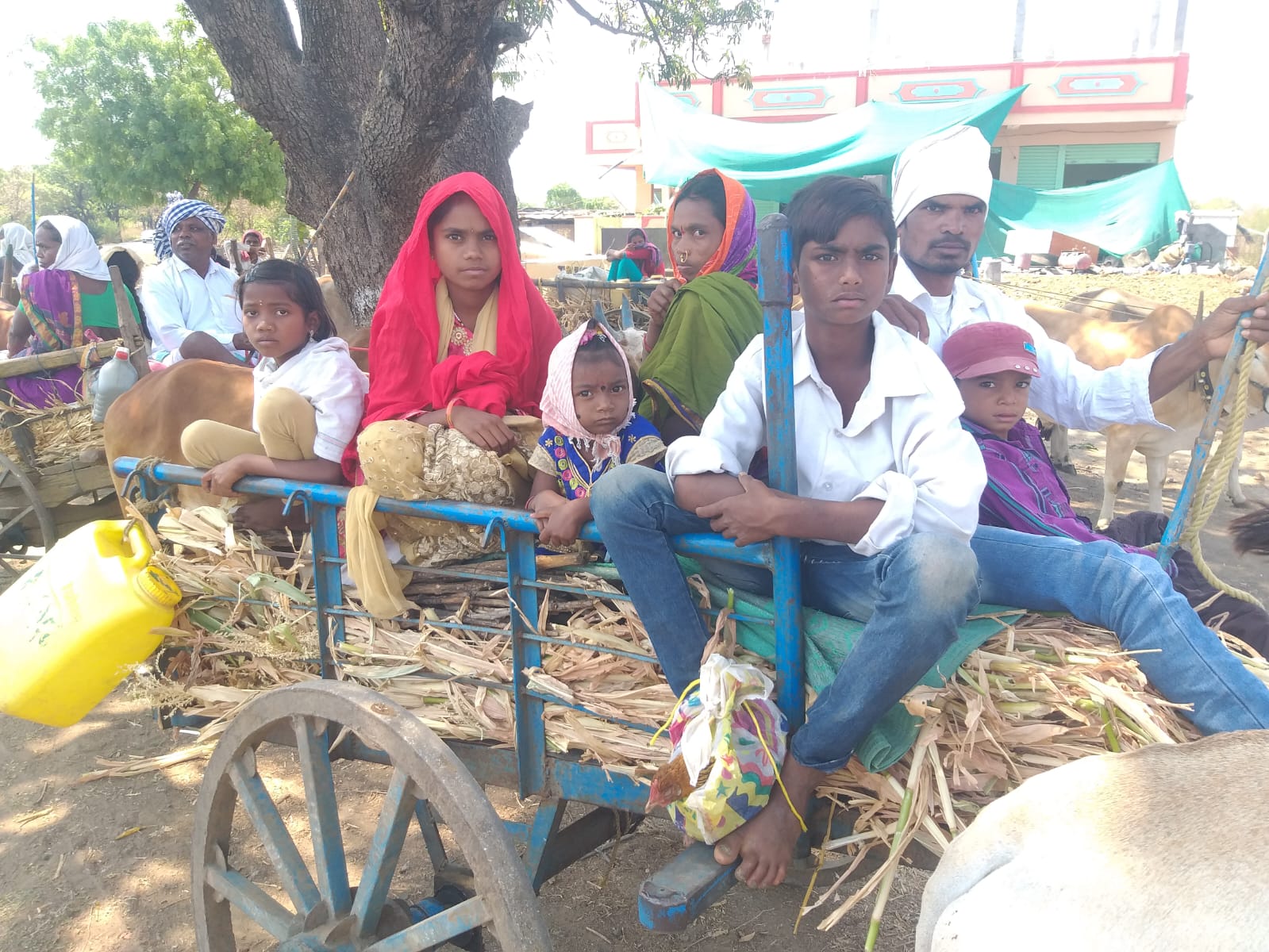 World Adivasi Day: కుమ్రంభీం వారసులకు తీరని కష్టాలు, పోరాటాలే స్ఫూర్తిగా జీవనం - నేడు ప్రపంచ ఆదివాసీ దినోత్సవం