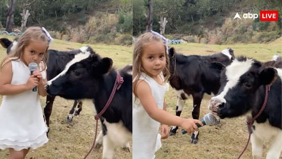 माइक लेकर गाय का इंटरव्यू करने लगी बच्ची, सामने से मिला ये जवाब- खूब वायरल हो रहा वीडियो