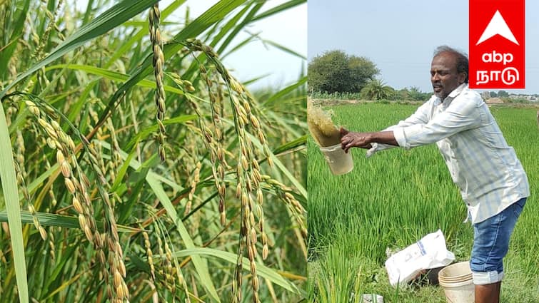 More profit in organic farming Special idea for you viluppuram onganic farmer இயற்கை விவசாயத்தில் அதிக லாபம்... ஆனால் இதெல்லாம் ரொம்ப முக்கியம்! ஸ்பெஷல் ஐடியா உங்களுக்காக!