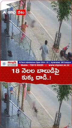 18 నెలల బాలుడి కుక్క దాడి..!