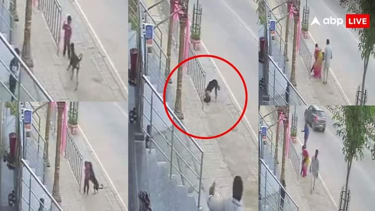 dog attacked a 18 months child woman rescued her video goes viral on social media खौफनाक वीडियो...बीच सड़क खेल रही बच्ची को नोचने लगा कुत्ता, महिला ने जबड़े से छीनकर बचाई जान