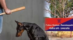 इथे ओशाळली माणुसकी! घरासमोर कुत्रा भुंकतो म्हणून कुत्र्याला अमानुष मारहाण; चक्क दोन्ही डोळे फोडले, कंबर ही फ्रॅक्चर