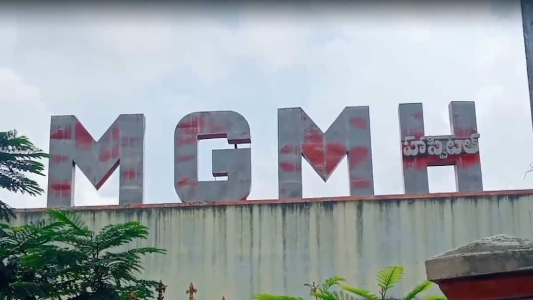 Warangal dogs attacks and eats newborn baby in MGM Hospital Warangal News: వరంగల్‌లో ఘోరం! పసిబిడ్డను పీక్కుతినేసిన కుక్కలు - భయంకరంగా శిశువు