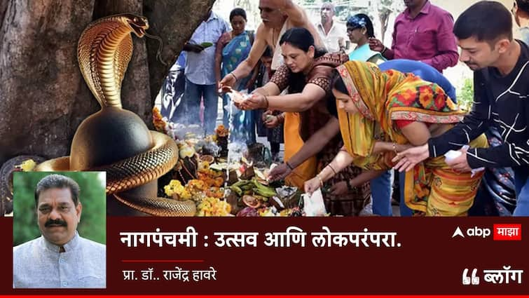 Nag Panchami 2024 special blog of Professor Dr Rajendra Havere from Amravati Nag Panchami Festivals and Folklore blog marathi maharashtra marathi news Blog : नागपंचमी : उत्सव आणि लोकपरंपरा