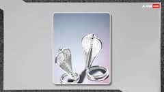 Nag Panchami 2024: नए घर की नींव में क्यों रखा जाता है नाग-नागिन का जोड़ा ?