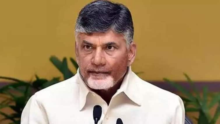 Chandrababus crucial meeting with Telangana TDP leaders Clarity on party state president Chandrababu: తెలంగాణ టీడీపీ నేతలతో చంద్రబాబు కీలక భేటీ, రాష్ట్ర అధ్యక్షుడి నియామకంపై స్పష్టత