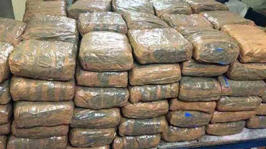 huge quantity of ganja seized at Mangalagiri tollgate in ap Ganja Seize: ఏపీలో భారీగా గంజాయి స్వాధీనం, ఐదుగురు అరెస్ట్