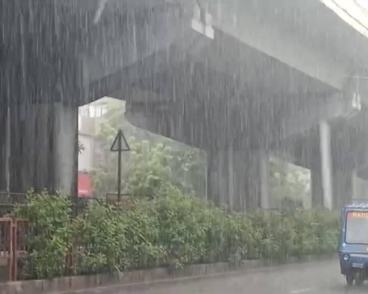 આ ગામોમાં ડભોઇ તાલુકાના નવાપૂરા, રાજલી, અંગુઠણ, થુવાવી, ઢોલાર, કરાલીપૂરા, બહેરામપૂરા તેમજ કરજણ તાલુકાના ખેરડા, હરસુડા, પિંગલવાડા, માનપૂર, સુરવાડા, સંભોઇ અને વીરજઇનો સમાવેશ થાય છે.