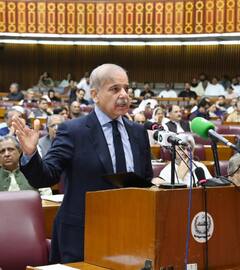 जब पाक असेंबली में मचा Article-370 पर शोर तो पाकिस्तान के सांसद ने भरी संसद में भारत के लिए उठाई आवाज