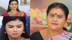Baakiyalakshmi serial August 10: ஜெனி ப்ரெக்னெண்டாக இருப்பது கன்ஃபார்ம் ஆயிடுச்சு... ஈஸ்வரியின் கோபம் முழுக்க அமிர்தா பக்கம் திரும்பிடுச்சு...