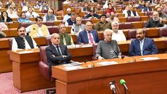 जब पाक असेंबली में मचा Article-370 पर शोर तो पाकिस्तान के सांसद ने भरी संसद में भारत के लिए उठाई आवाज