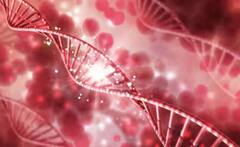 ਕੀ ਇਨਸਾਨ ਦੀ ਮੌਤ ਤੋਂ ਬਾਅਦ ਪਾਣੀ ਵਿੱਚ ਬਦਲ ਜਾਂਦਾ ਹੈ ਲਹੂ ? ਜਾਣੋ ਸੱਚਾਈ