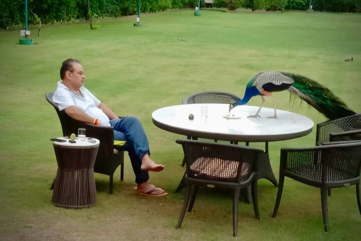 इस दौरान उन्होंने मोर को दाना भी खिलाया. इन तस्वीरों के साथ उन्होंने एक पोस्ट भी लिखा जो सोशल मीडिया पर वायरल हो गया.