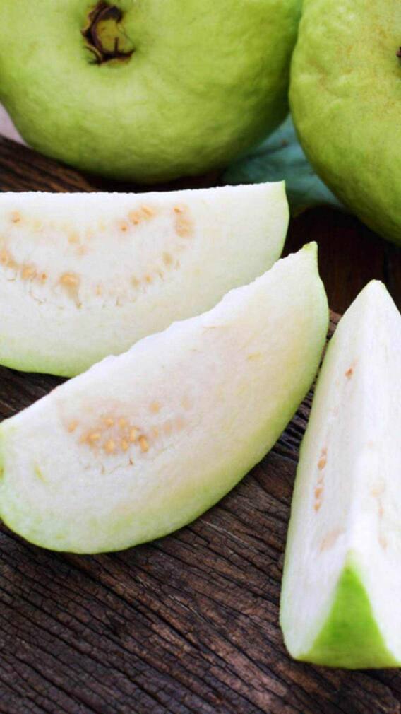 పరగడుపున జామ పండు తింటే మంచిదేనా?