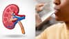 Kidney Disease : किडनी फेल न होण्यासाठी एका दिवसात किती पाणी प्यायला हवं? जाणून घ्या तज्ज्ञ काय म्हणतात