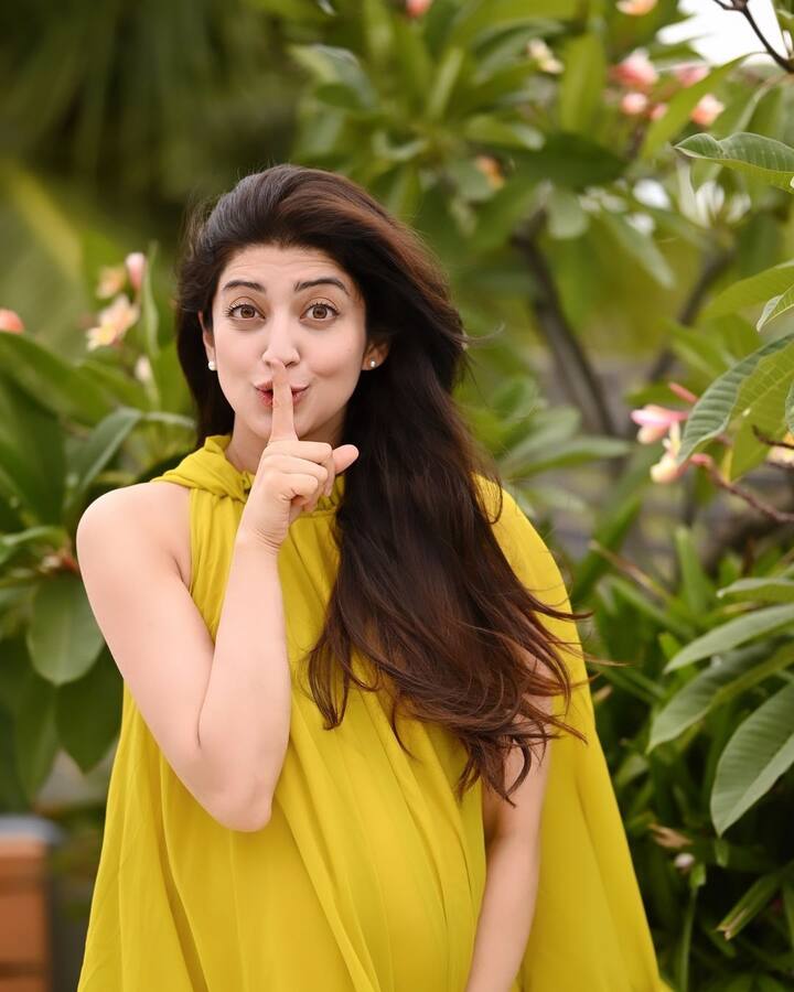 కన్నడ, తెలుగు, తమిళం, హిందీ, మలయాళం సినిమాల్లో నటించింది ప్రణీత. 2010లో దర్శన్ నటించిన కన్నడ చిత్రం పోర్కి తో ఎంట్రీ ఇచ్చింది. సిద్దార్థ్ నటించిన బావ మూవీలో మెరిసింది..ఆ తర్వాత వరుస ఆఫర్స్ అందుకుంది. పవన్ కల్యాణ్ తో నటించిన అత్తారింటికి దారేది ఆమెకు బిగ్గెస్ట్ హిట్.