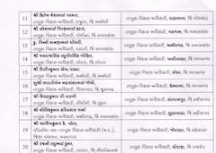 Gandhinagar:  રાજયમાં 36 તાલુકા વિકાસ અધિકારીની બદલી, જુઓ લિસ્ટ